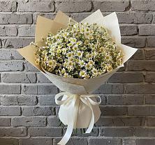 Букет цветов из:  Ромашки #REPLACE_PRED# Преображенской