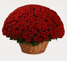 Премиум букет из: Розы #REPLACE_PRED# Преображенской